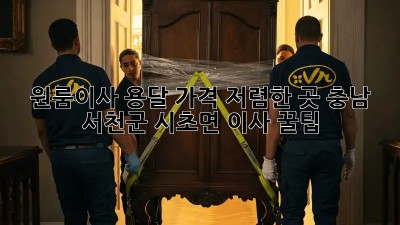 원룸이사 용달 가격 저렴한 곳! 충남 서천군 시초면 이사 꿀팁🍯
